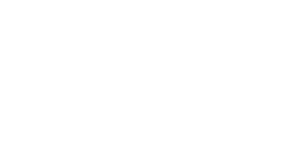 Datavideo-logo